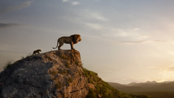 Lionking2019-animationscreencaps.com-1314