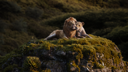 Lionking2019-animationscreencaps.com-9579