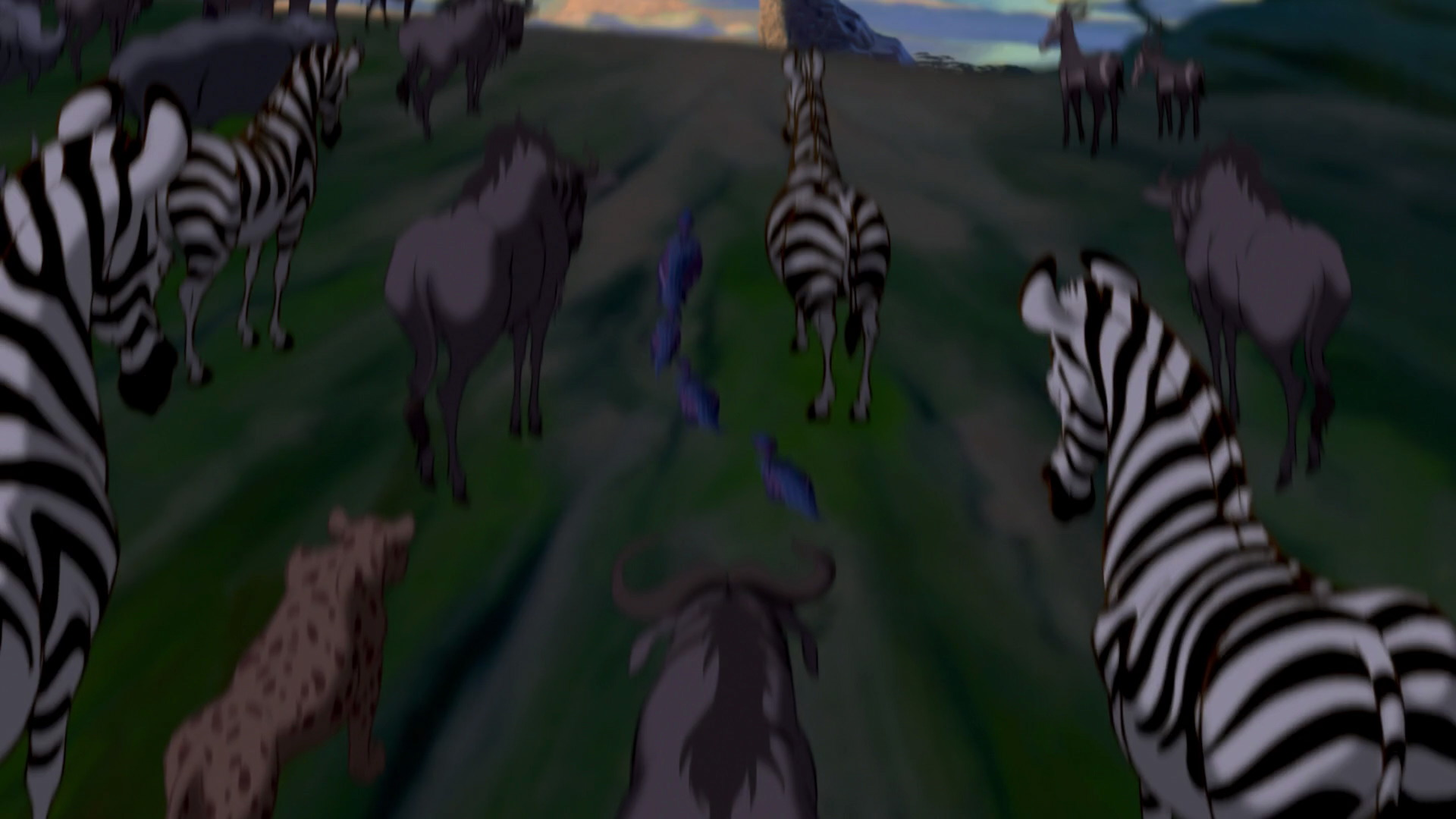 Cape buffalo/Gallery | The Lion King Wiki | Fandom