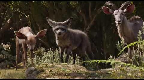 Video Lion King Promo Video Jungle Animals Clip The