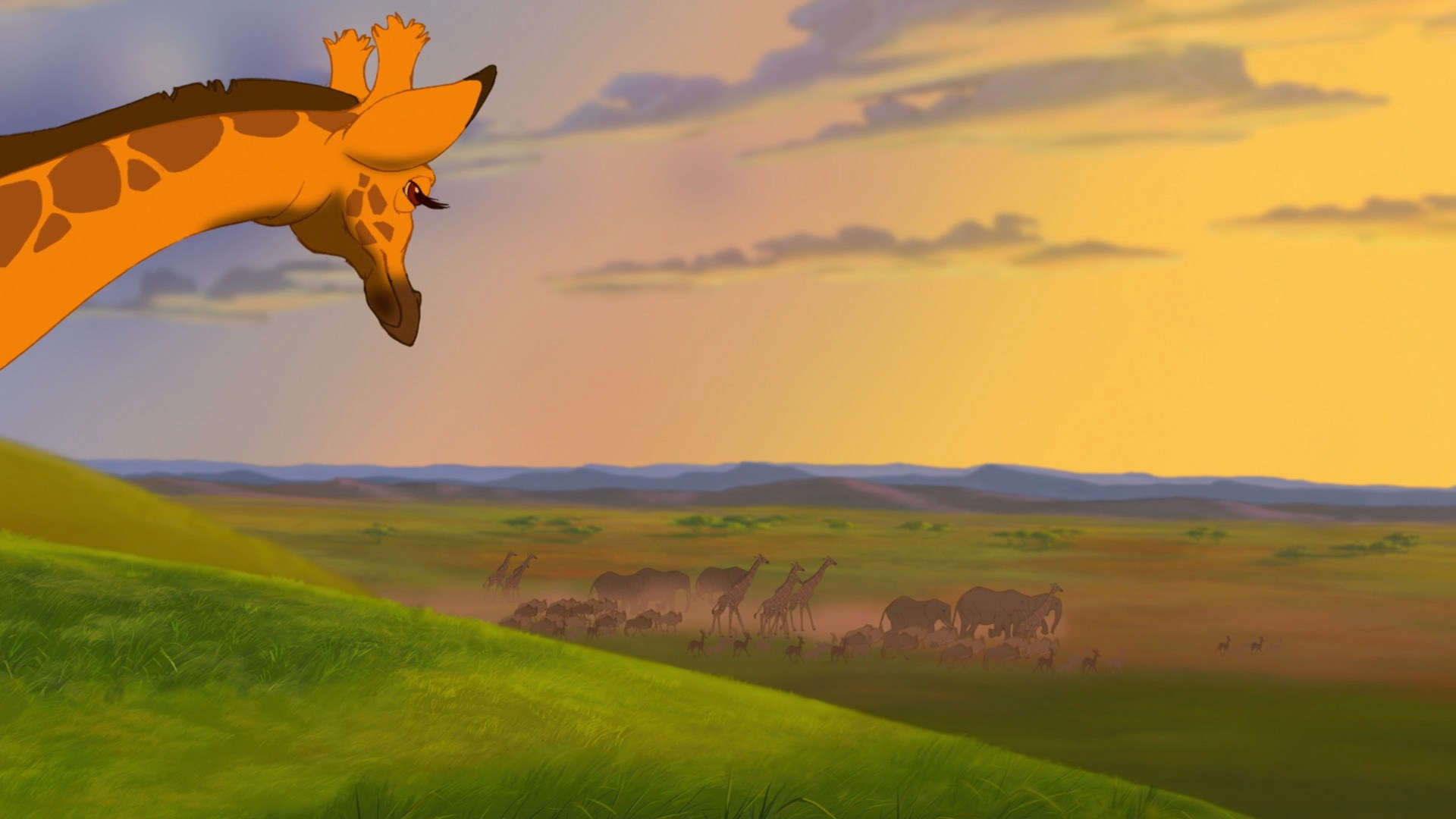 Category:Species galleries | The Lion King Wiki | Fandom