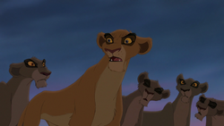 Lion-king2-disneyscreencaps.com-8457