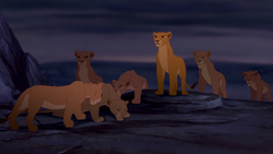 Lion-king-disneyscreencaps.com-8840