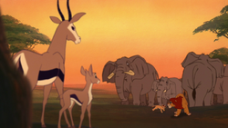 Lion-king2-disneyscreencaps.com-2091