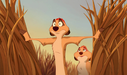 Lionking3-disneyscreencaps.com-669