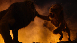 Lionking2019-animationscreencaps.com-12241