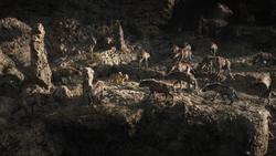 Lionking2019-animationscreencaps.com-3272