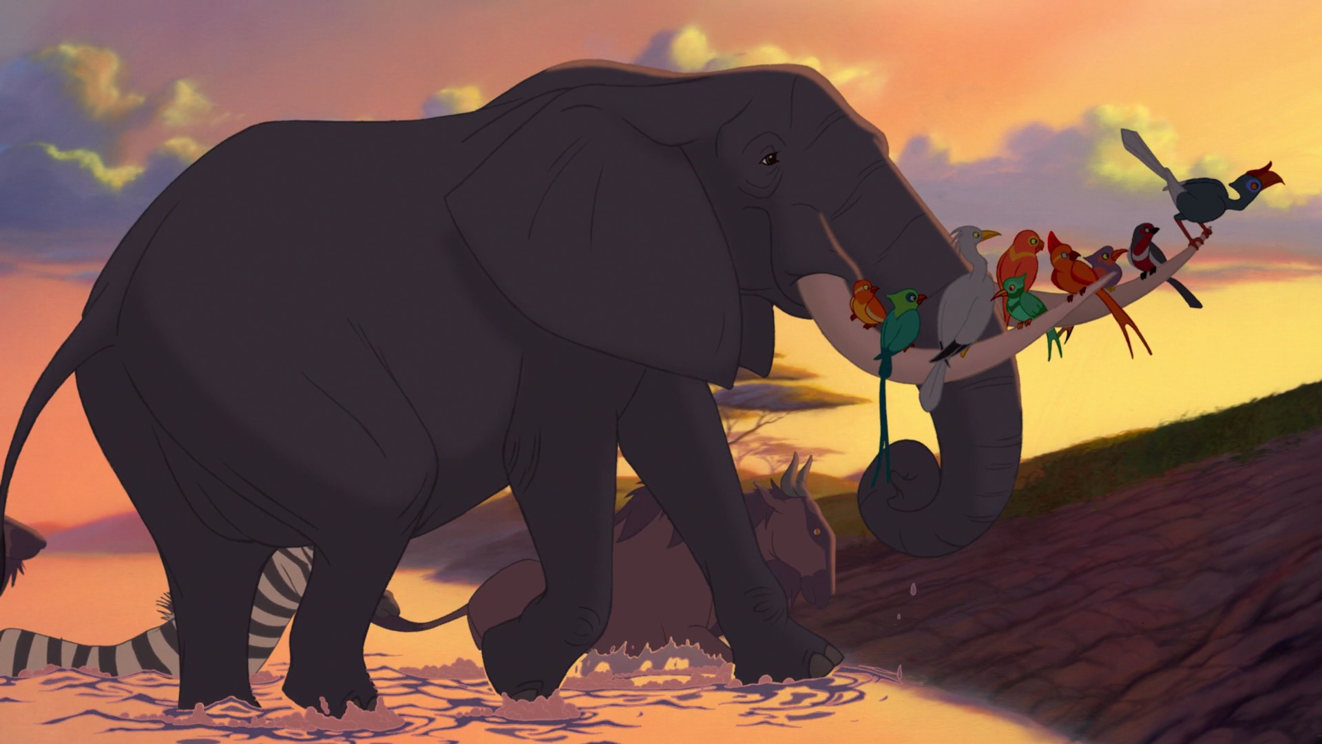 Image - Circle of Life elephant.png | The Lion King Wiki | FANDOM