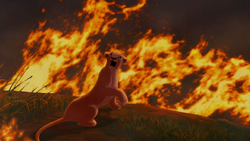 Lion-king2-disneyscreencaps.com-3877