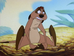 SOTS Timon12