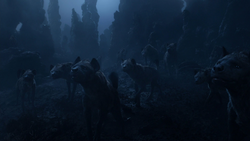 Lionking2019-animationscreencaps.com-4269