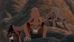 Lion-king2-disneyscreencaps.com-6304