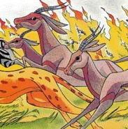 Antelope/Gallery | The Lion King Wiki | FANDOM powered by Wikia