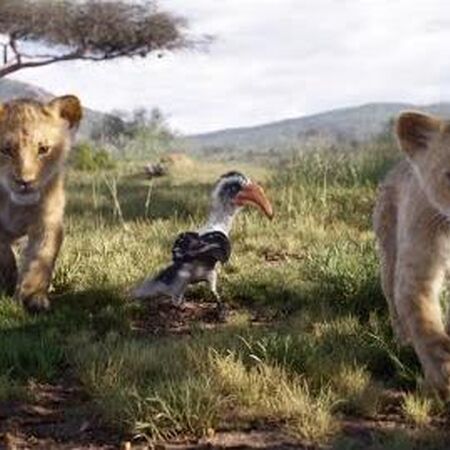 I Just Can T Wait To Be King 2019 Soundtrack The Lion King Wiki Fandom