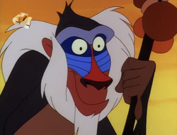 T&P Rafiki