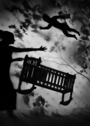 007(Cradle)