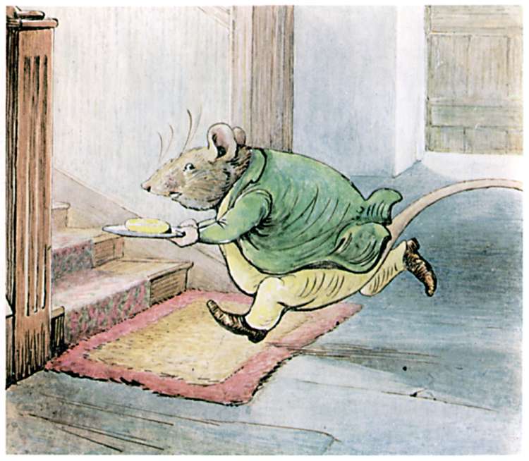 Image result for pictures of cute rats beatrix potter