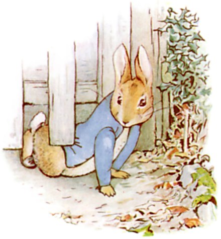 Image result for peter rabbit original