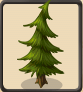 Bigpine