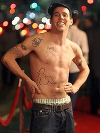 Steveo300-1-