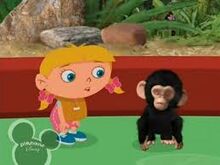BabyChimp