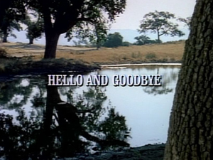 Title.helloandgoodbye