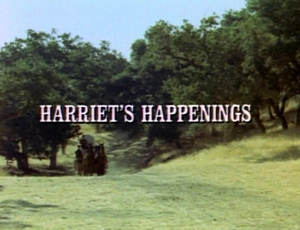 Title.harrietshappenings