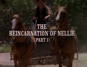 Title.reincarnationofnellie1