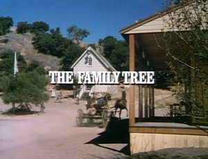 Title.thefamilytree