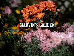 Episode 912 Marvin S Garden Little House On The Prairie Wiki