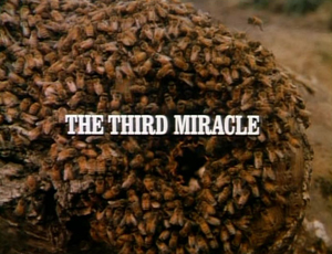 Title.thethirdmiracle