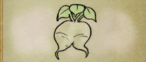 Rash Turnip