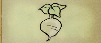 Regular Turnip