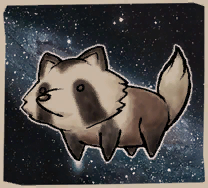 Raccoon Dog