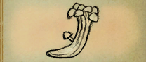 Rock Mushroom