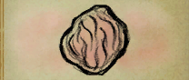 Plumerald