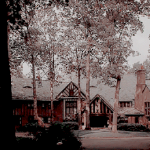 Salvatore Boarding School For The Young Gifted Little