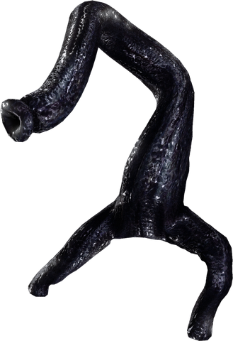 File:Leech2.png
