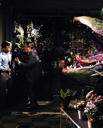 Suppertime Little Shop Of Horrors Wiki Fandom
