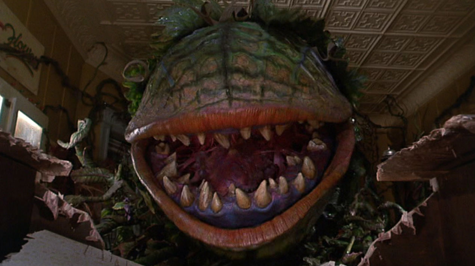 Wallpaper Audrey Ii Little Shop Of Horrors Wiki Fandom Free HD