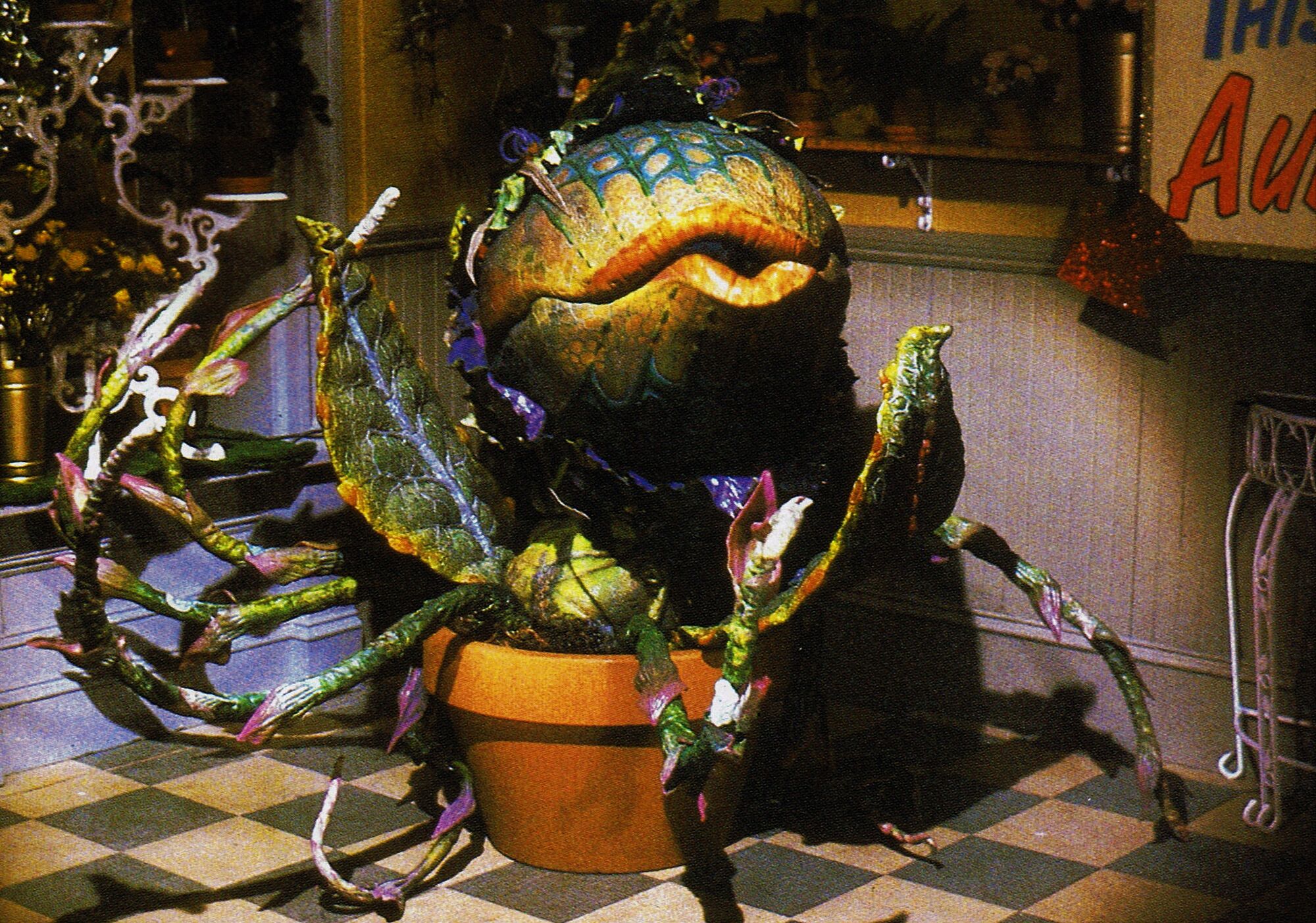 Categoryaudrey Ii Actors Little Shop Of Horrors Wiki Fandom 5713