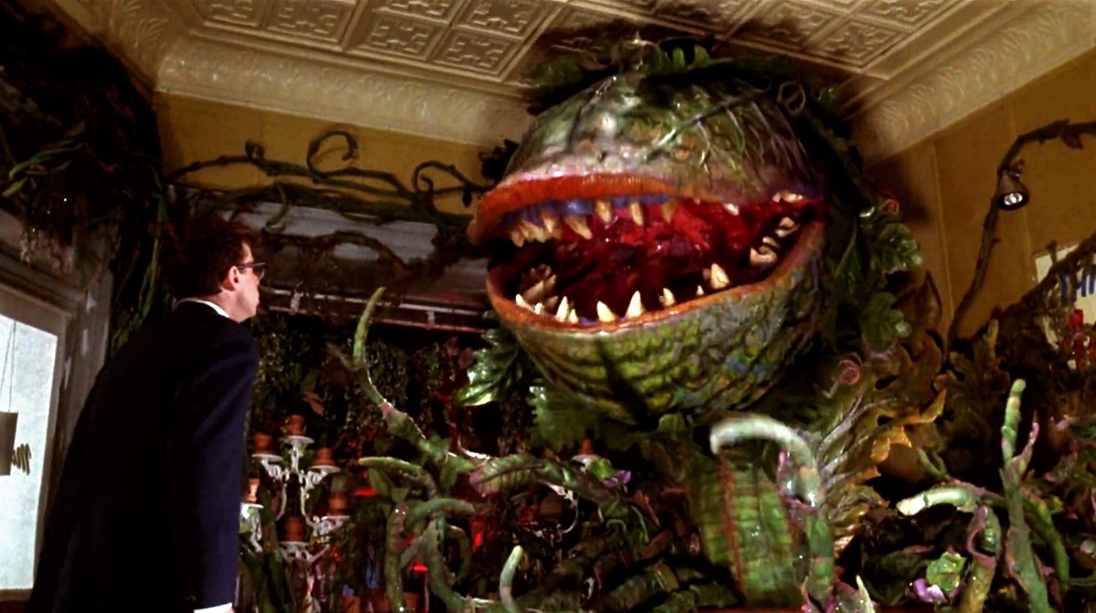 Audrey Ii Little Shop Of Horrors Wiki Fandom 7420