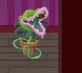 Moshi audrey 2