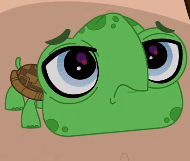 Turtle Littlest Pet Shop 2 The Show Wiki FANDOM powered by Wikia