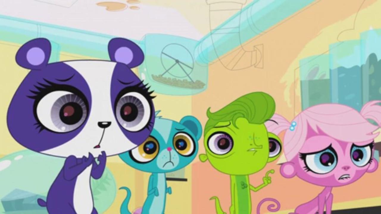 Image - 1280x720-xpG.jpg | Littlest Pet Shop 2 The Show Wiki | FANDOM ...