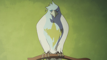 Alcor