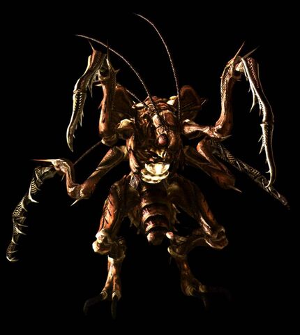 File:Cockroach.jpg