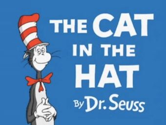 the cat in the hat book and hat