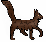 Brambleclaw2.long.m