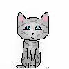 Silverstream-.f.short